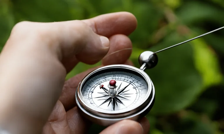 How To Make A Compass With A Needle