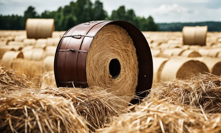 Needle In A Haystack Meaning: An In-Depth Explanation