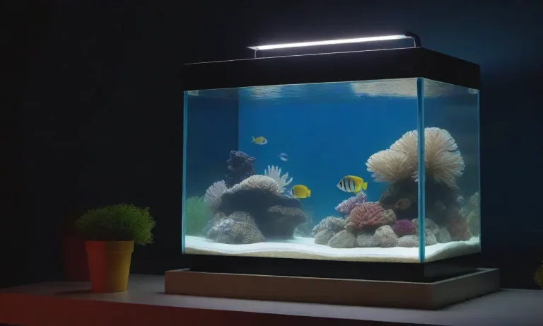 Aquarium-Safe Super Glue: A Comprehensive Guide To Choosing The Right Adhesive For Your Fish Tank