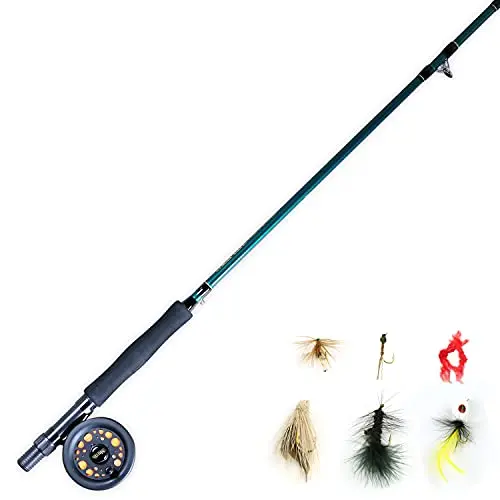 Established 8' Combo, Guide, Entry-Level