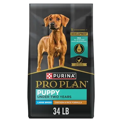 Large Breed Chicken & Rice Formula