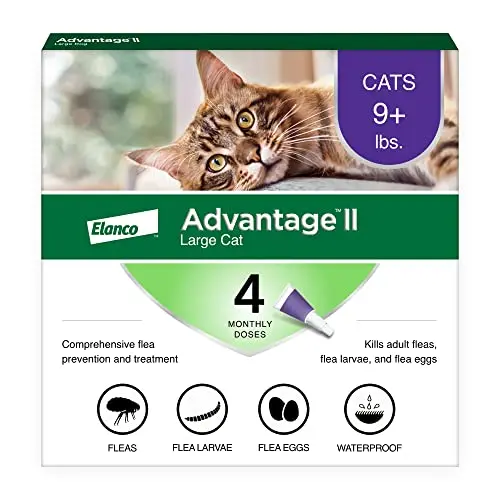 Vet-Recommended Flea Treatment for Cats Over 9 lbs