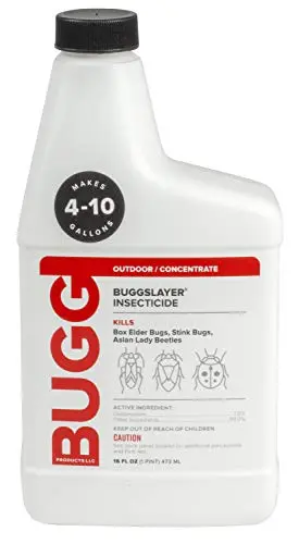 Odorless Outdoor Barrier for Boxelder Bugs