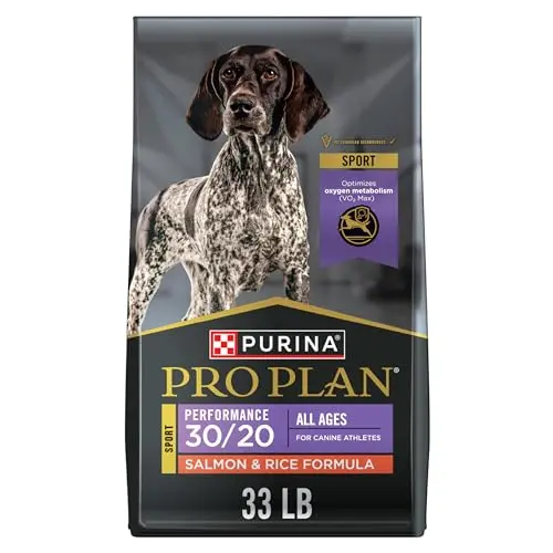 High-Protein Dry Kibble with Salmon for Enhanced Endurance