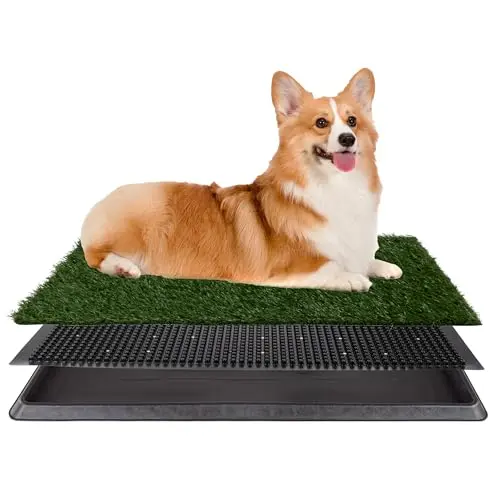 3-Layer Potty Pad with Tray, 20x25"