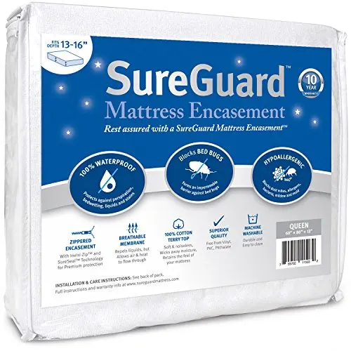 Premium Six-Sided Bed Bug & Waterproof Queen Cover
