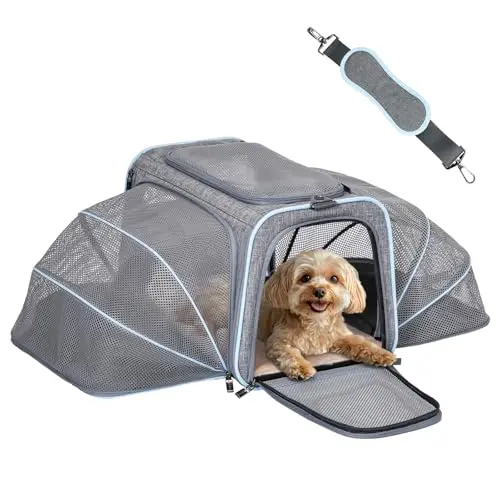 Roomy, airline-approved, foldable, two extensions