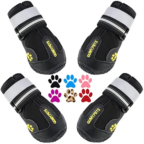 Winter-Proof, Rugged Paw Protection