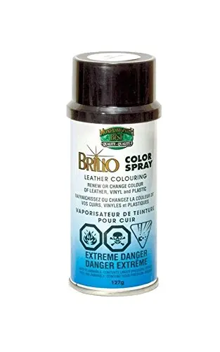 Moneysworth & Best Brillo Nu-Life color renew spray for vinyl and plastic