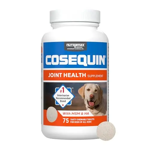 Joint Health with HA for All Ages