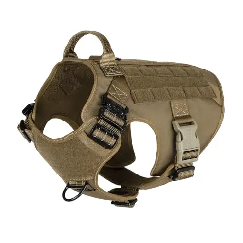 Heavy-Duty MOLLE No-Pull Vest