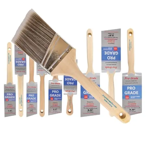 Pro Grade 10-pack angle paint brush set with multiple sizes