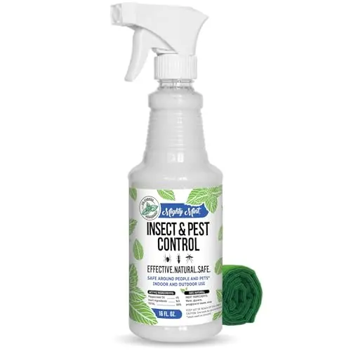 Natural Mint Spray, Indoors & Out