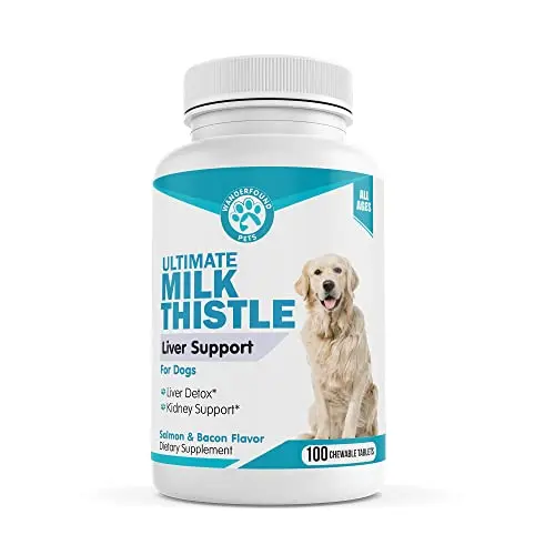 Affordable Bacon & Salmon Flavored Tablets
