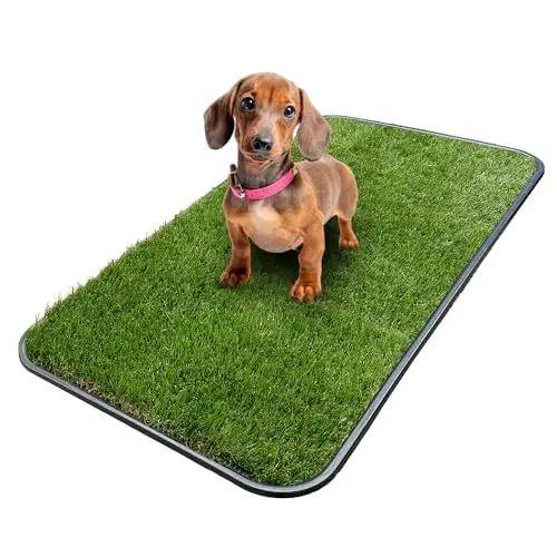Reusable Turf Pad with Tray, 15x30"