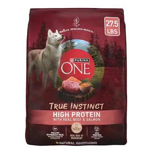 High Protein Kibble with Bone Broth