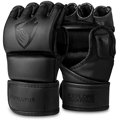 Hybrid Design for Striking & Grappling