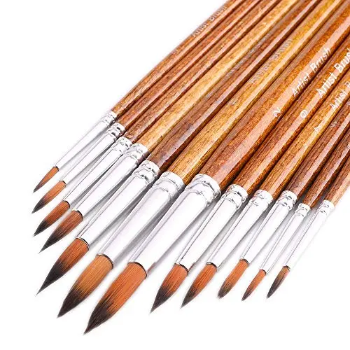 FENORKEY artist watercolor paint brushes set with 12 different sizes