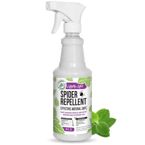 Extra-Strong Natural Spider Control