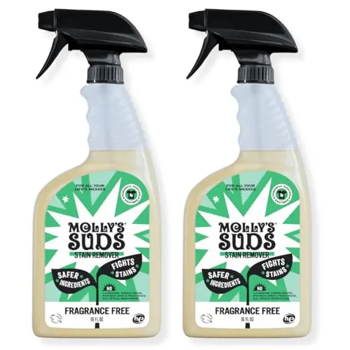 Natural Enzyme Stain Spray (Fragrance Free, 2-Pack)