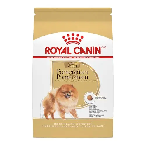 Tailored for Adult Pomeranian Needs