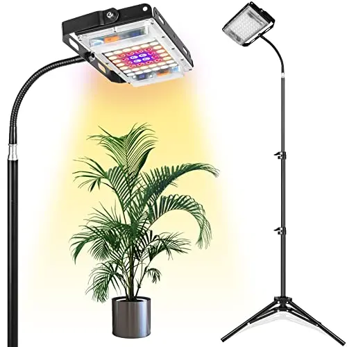 Budget Floor Lamp, Adjustable Tripod