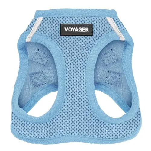 All-Weather No Pull for Small Breeds - Baby Blue