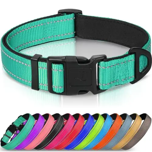 Soft Padded, Reflective, Adjustable