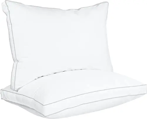 Budget Cooling Poly Fiber Pillow (Set of 2, Queen)