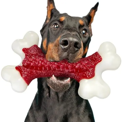 Nylon Chew Toy for Aggressive Chewers, Spine-Style