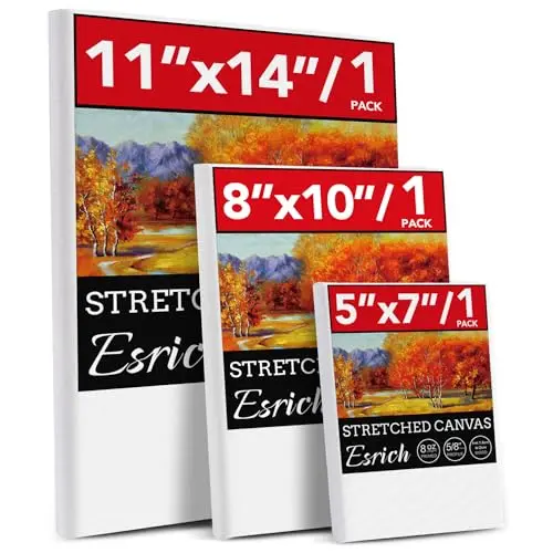 ESRICH 3-pack multi-size stretched canvases for oil painting