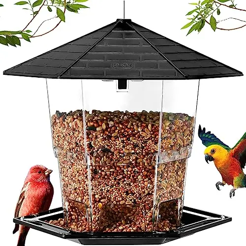 Plastic, Large Capacity, 360° Perch