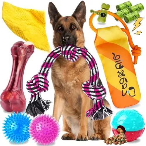Heavy Duty Assorted Chew/Play Set