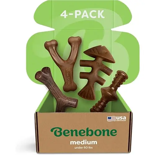 Assorted Durable Chews for Aggressive Chewers