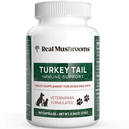 Potent Beta-Glucan Turkey Tail Capsules
