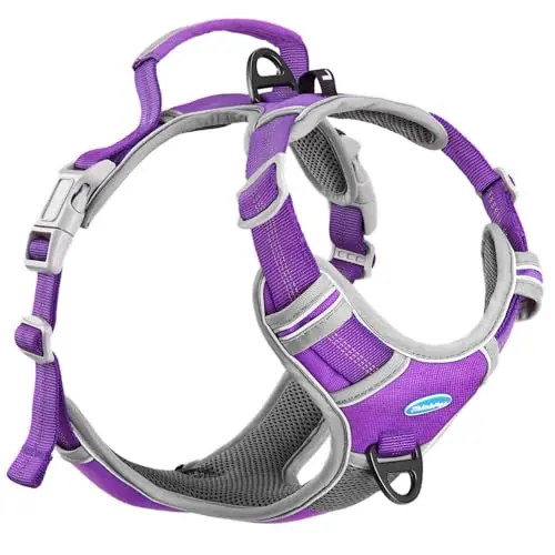 Breathable No Pull with Back Handle