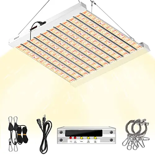 High Power, Timer & Temp Control
