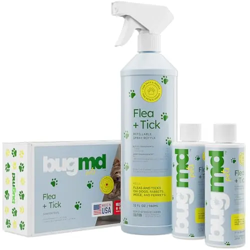 Essential Oil-Based Flea Spray
