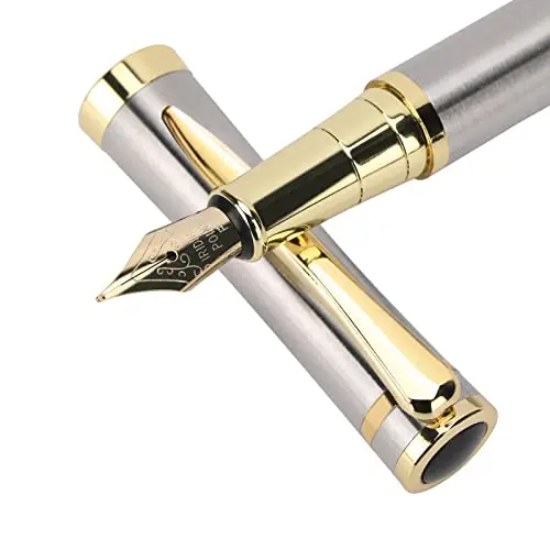Cheericome Luxury Fountain Pen in silver with fine nib