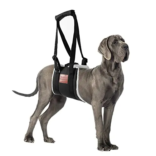 Magic Tape Harness for Strength & Arthritis Relief