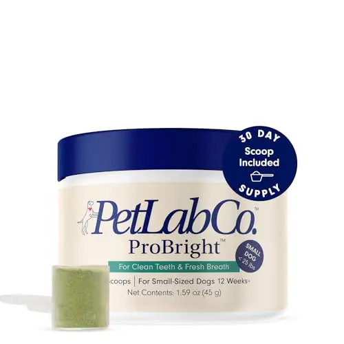 Advanced powder for tartar & breath