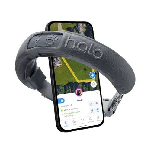 Advanced GPS Wireless Dog Fence & Trainer (Small, Graphite)
