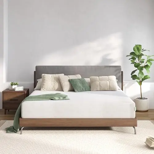 Budget-Friendly Foam | Medium Firm | Washable Cover