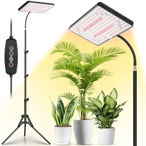 Full Spectrum, Programmable Timer, Tall Tripod