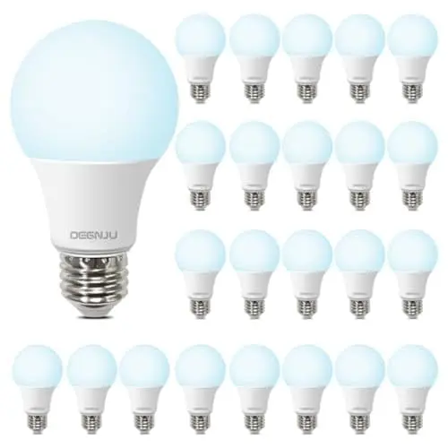 Bulk, daylight-bright bulbs for high utility