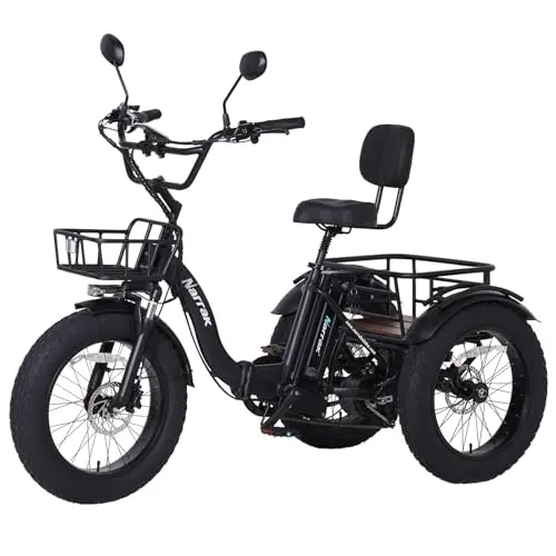 Hydraulic Brakes, Fat Tires, Folding Frame