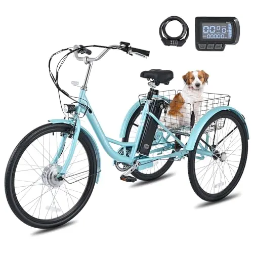 24" Adult Trike, 250W Motor, Large Rear Basket
