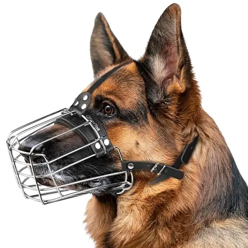 Wire Cage, Adjustable Leather Straps