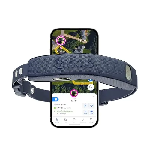 Dual-Frequency GPS Wireless Dog Fence (One Size)