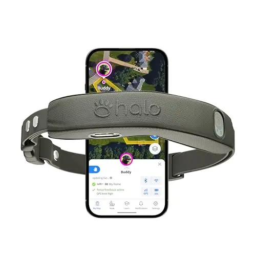 Advanced Wireless GPS Dog Fence (One Size)